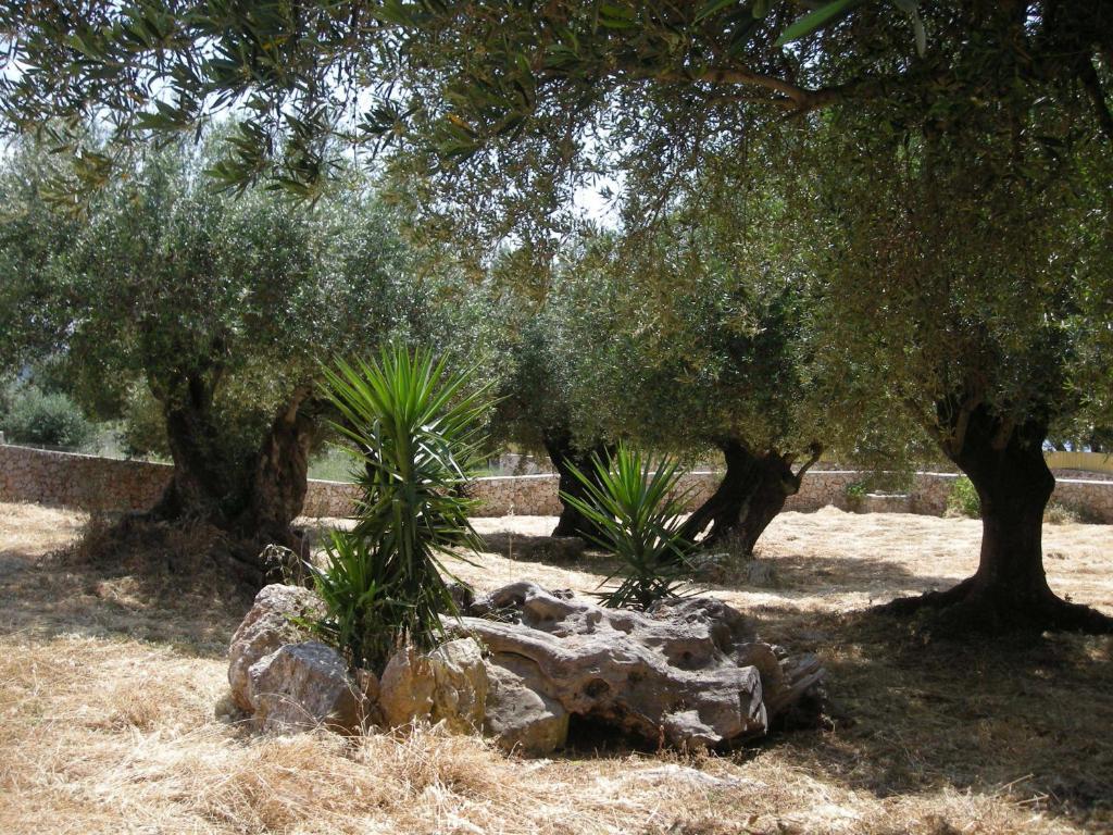 شقة Il Veliero فيسكاردو المظهر الخارجي الصورة
